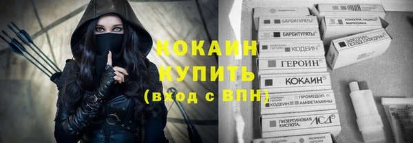 прущие грибы Балахна