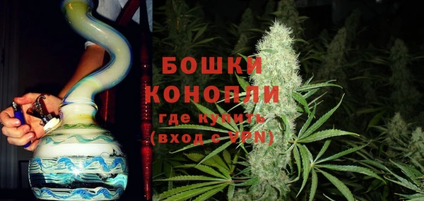 прущие грибы Балахна
