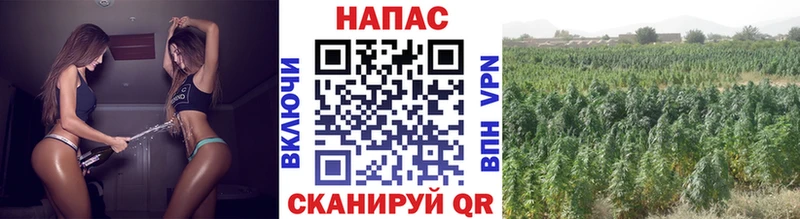 закладки Гремячинск Бошки марихуана Amnesia